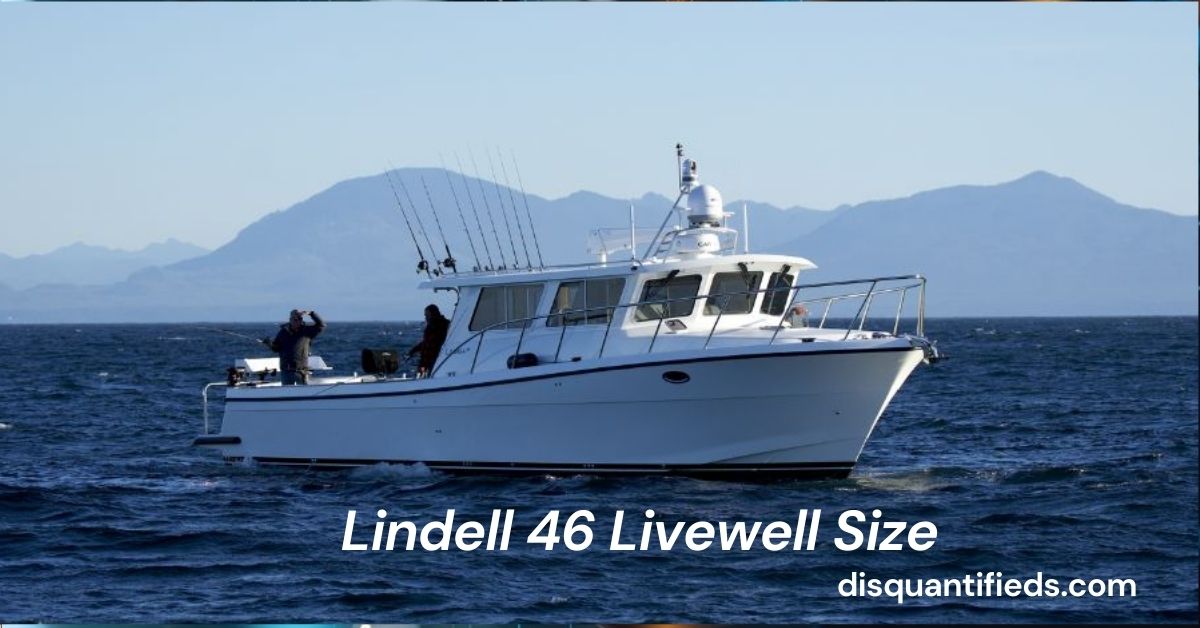 Lindell 46 Livewell Size