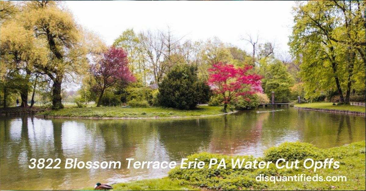 3822 Blossom Terrace Erie PA Water Cut Opffs: Understanding the Impact, Causes, and Solutions